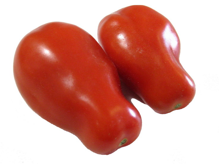 Томат "San Marzano"